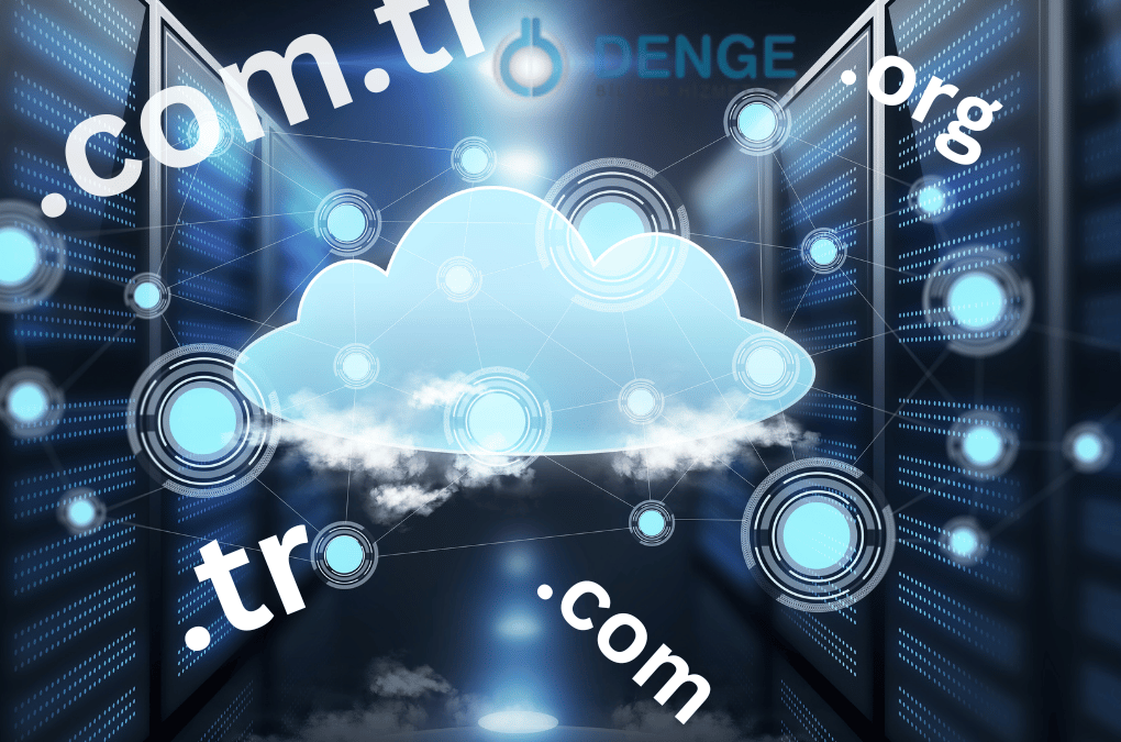 Domain – Hosting Hizmetleri